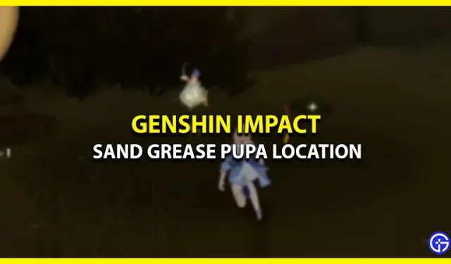 Waar vind je de locatie van de Sand Grease Chrysalis in Genshin Impact