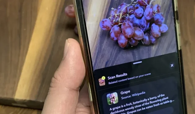 Scan eten met Snapchat om nieuwe recepten te ontdekken die het proberen waard zijn