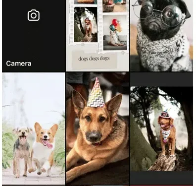 Sådan tilføjes flere billeder til Instagram-historien [3 måder]