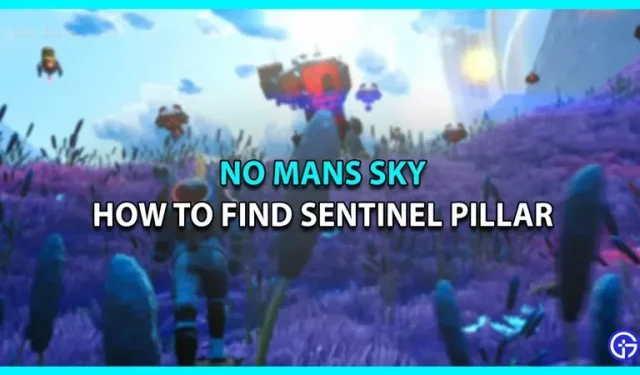 Jak zjistit polohu Sentinel Pillar v No Man’s Sky