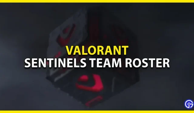 Valorant : équipe Sentinels et roster en 2022