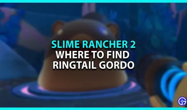 Slime Rancher 2: où trouver Ringtail Gordo