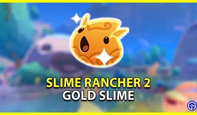 Hvor kan jeg finde guldslimes i Slime Rancher 2? (svarede)