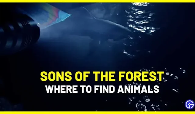 Posizione degli animali in Sons of the Forest: come trovarli e cacciarli