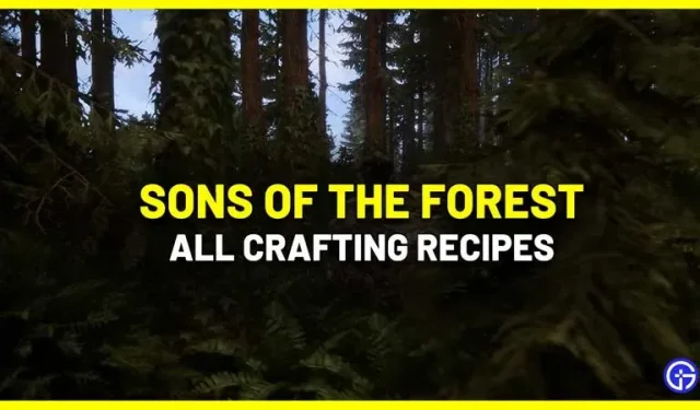 All crafting recipes and ingredients list of Sons Of The Forest