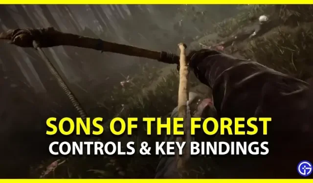 Sons Of The Forest Controles e combinações de teclas