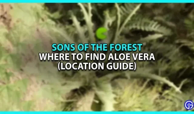 Wo man Aloe Vera in Sons of The Forest findet (Standortführer)