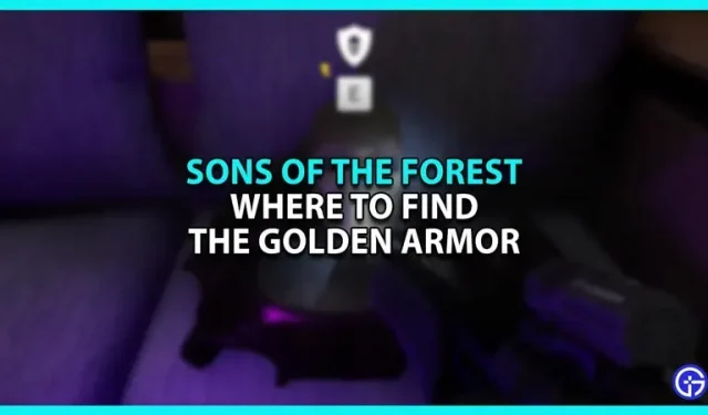 Posizione dell’armatura d’oro in Figli della foresta