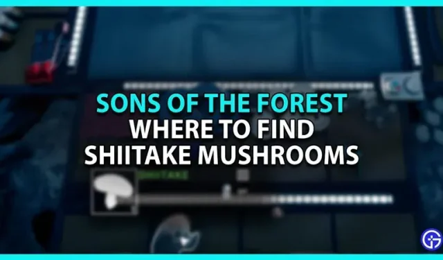Wo man Shiitake-Pilze in Sons Of The Forest findet