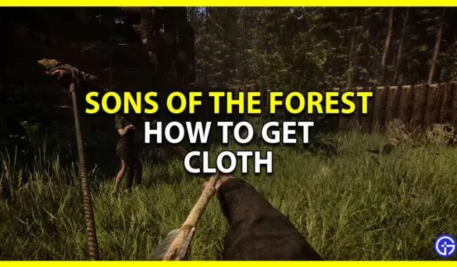 Comment obtenir et utiliser des vêtements dans Sons Of The Forest