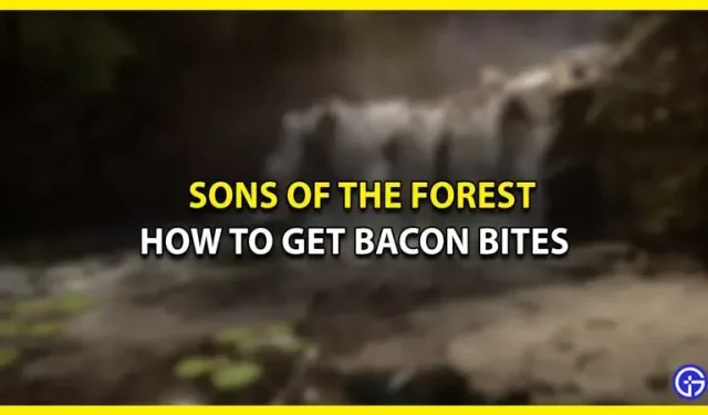 Hoe je baconbites krijgt in Sons Of The Forest