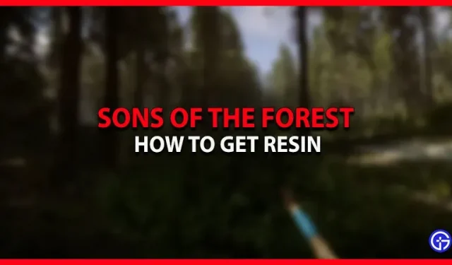 Sons of the Forest: how to get resin