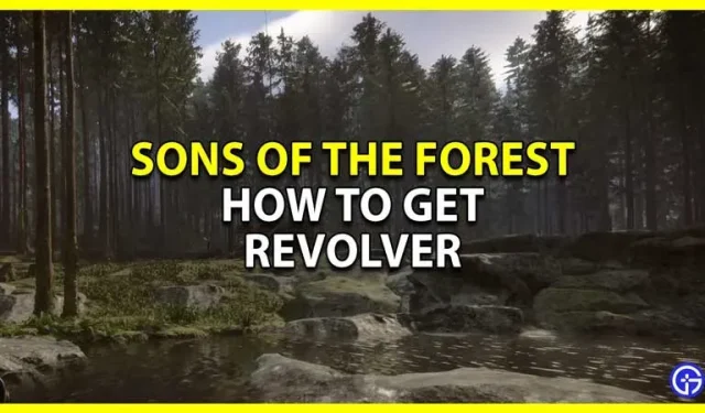 Een revolver krijgen in Sons Of The Forest (locatie)