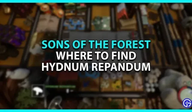 在森林之子中哪裡可以找到 Hydnum Repandum 的位置