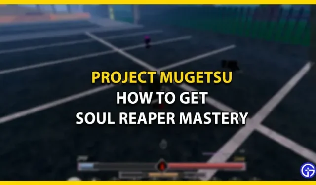 Comment obtenir la maîtrise Soul Reaper dans Roblox Project Mugetsu (PM)