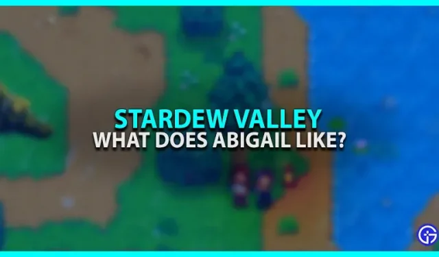 Stardew Valley: Was mag Abigail? (Lieblingsgeschenke)