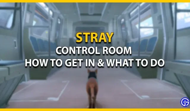 Stray Control Room: comment s’y rendre et quoi faire