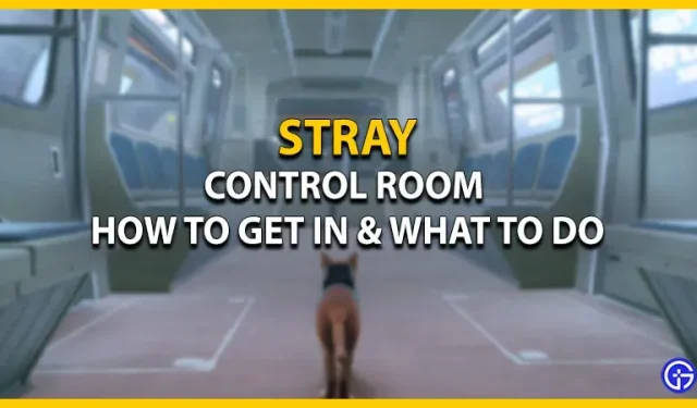 Stray Control Room: hur man tar sig dit och vad man ska göra