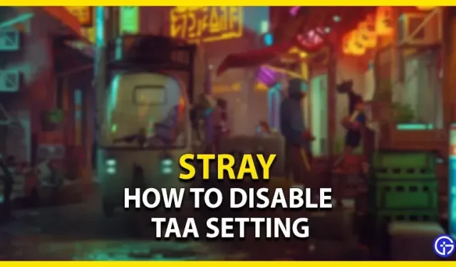 Stray – TAA 설정을 비활성화하는 방법
