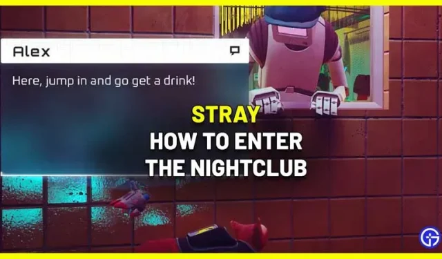 Stray: jak dostać się do klubu nocnego (centrum miasta)