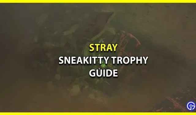 Guide du trophée Stray Sneakitty : traversez le centre-ville sans vous faire repérer par les gardes