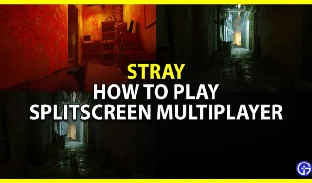 Stray Splitscreen Mod: Cómo jugar multijugador local