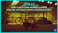 Гайд по скоростному прохождению Stray: I Am Speed ​​Trophy за 2 часа