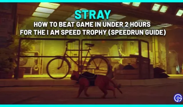 Guide du passage rapide de Stray : I Am Speed ​​Trophy en 2 heures