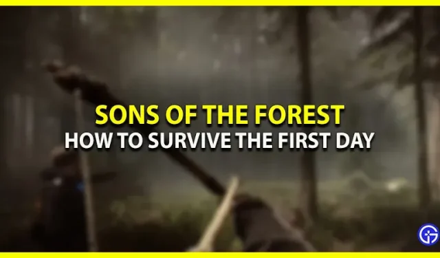 Meža dēli: kā pārdzīvot savu pirmo dienu