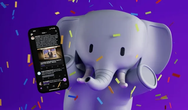 Tapbots lance officiellement le client Ivory pour Mastodon après l’arrêt de TweetBot