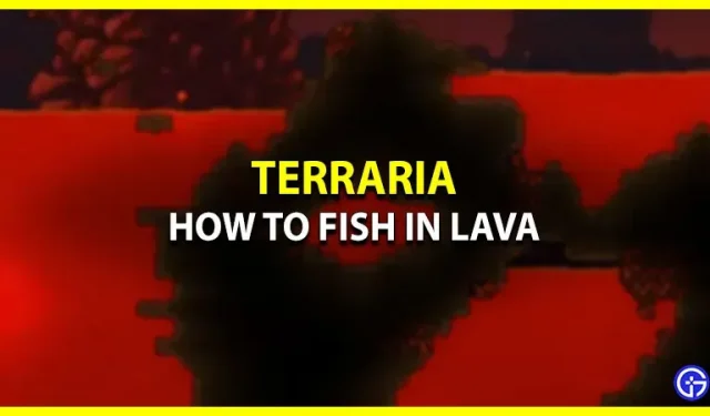 Terraria : comment pêcher dans la lave
