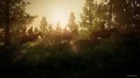 The Last of Us Remake: graafiline jõudlus videomängu meistriteose jaoks