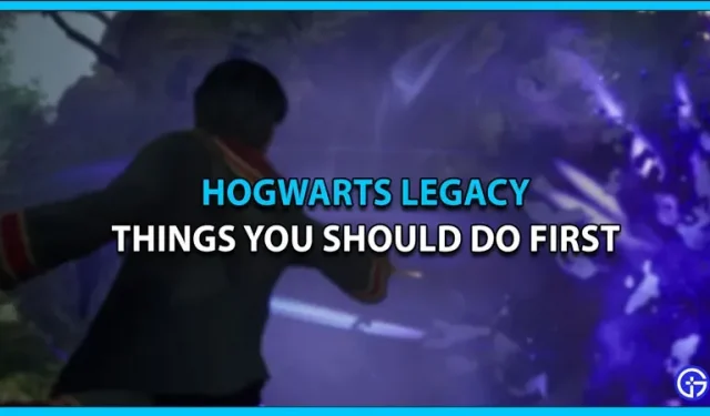 Was in Hogwarts Legacy als Erstes zu tun ist