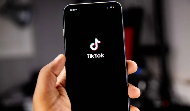 Vous pouvez désormais partager vos histoires TikTok sur Instagram et Facebook.