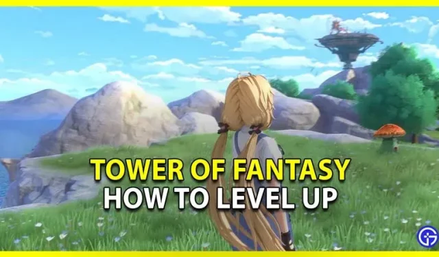 Tower Of Fantasy: Wie man ein Level aufsteigt