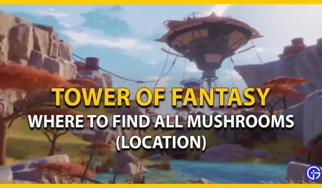 Fantāzijas tornis: kur atrast sēnes (atrašanās vieta)