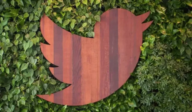Twitter bietet möglicherweise ein natives Zahlungssystem an