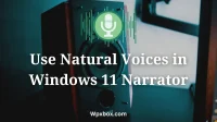 How to use natural voices in Windows Narrator?