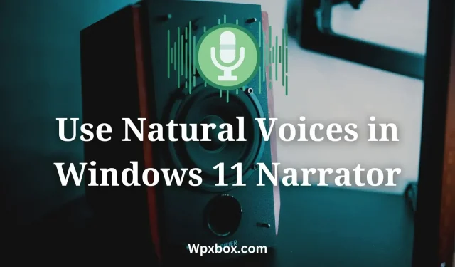 How to use natural voices in Windows Narrator?