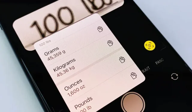 How to Use Your iPhone’s Camera App to Translate and Convert Units in Real Time