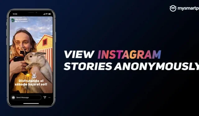 Comment afficher les stories Instagram sans se connecter à un compte ? Affichage anonyme des histoires Instagram.