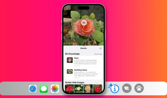 How to identify plants, animals and more in your photos with Visual Look Up on iPhone and iPad