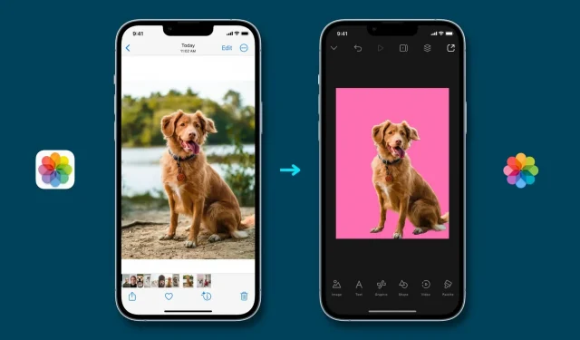 Kā noņemt fonu un izvilkt galveno fotoattēlu objektu iPhone tālrunī operētājsistēmā iOS 16