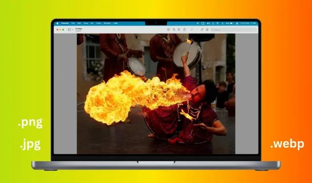 Cómo convertir imágenes WebP a JPG o PNG y viceversa en Mac