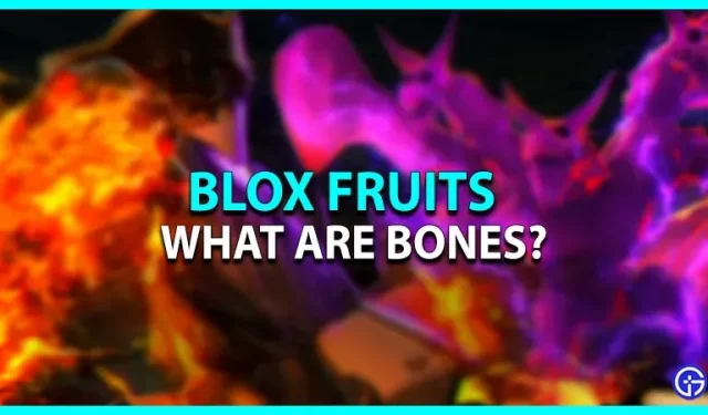 Bones Blox Fruits: Was ist das?