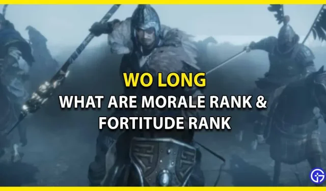 Wo Long의 Morale Rank와 Fortitude Rank는 무엇입니까