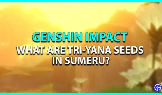 Genshin Impact: ¿Qué son Tri-Yan Seeds en Sumeru?