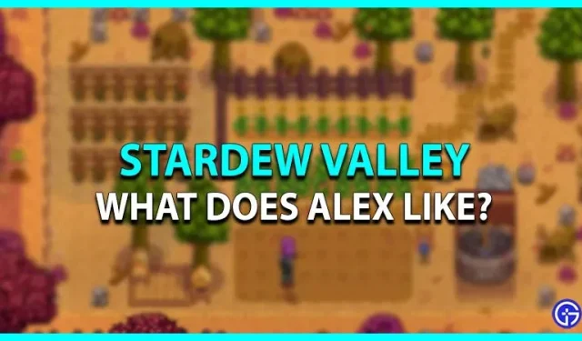 Stardew Valley: What kind of gifts does Alex like?