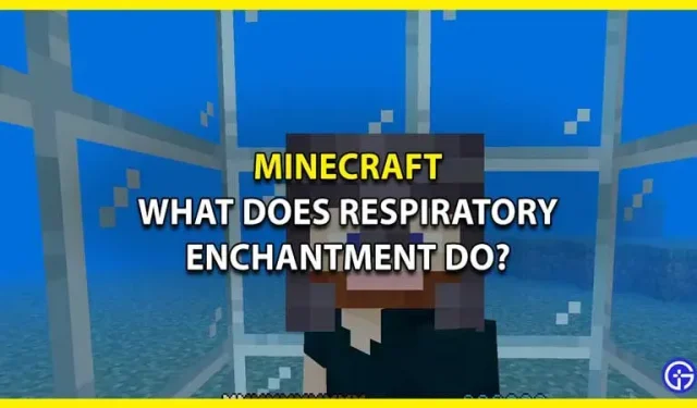 Hengityslumous Minecraftissa: mitä se tekee? – Kuinka saada se