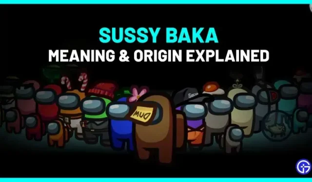 Sussy Baka Meme Betekenis, oorsprong en uitleg